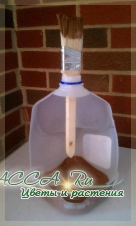 Идеи из пластиковых бутылок своими руками (69 фото)